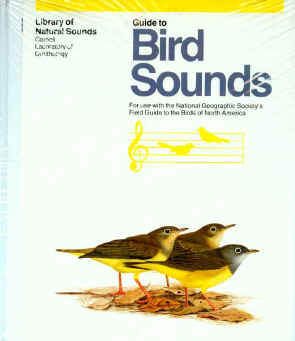 BirdSounds2.jpg (50730 bytes)